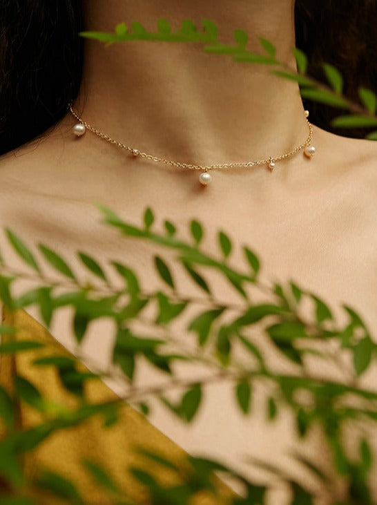 Choker Spring Forest